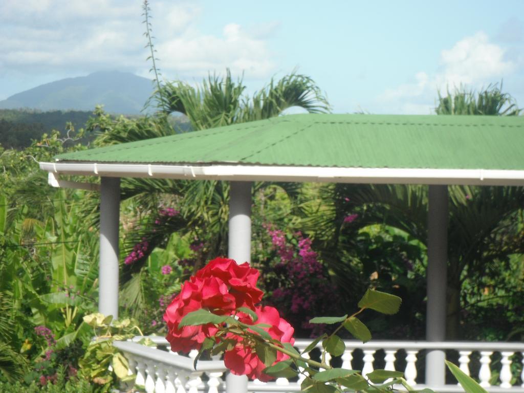 Classique International In Dominica Marigot Kamer foto