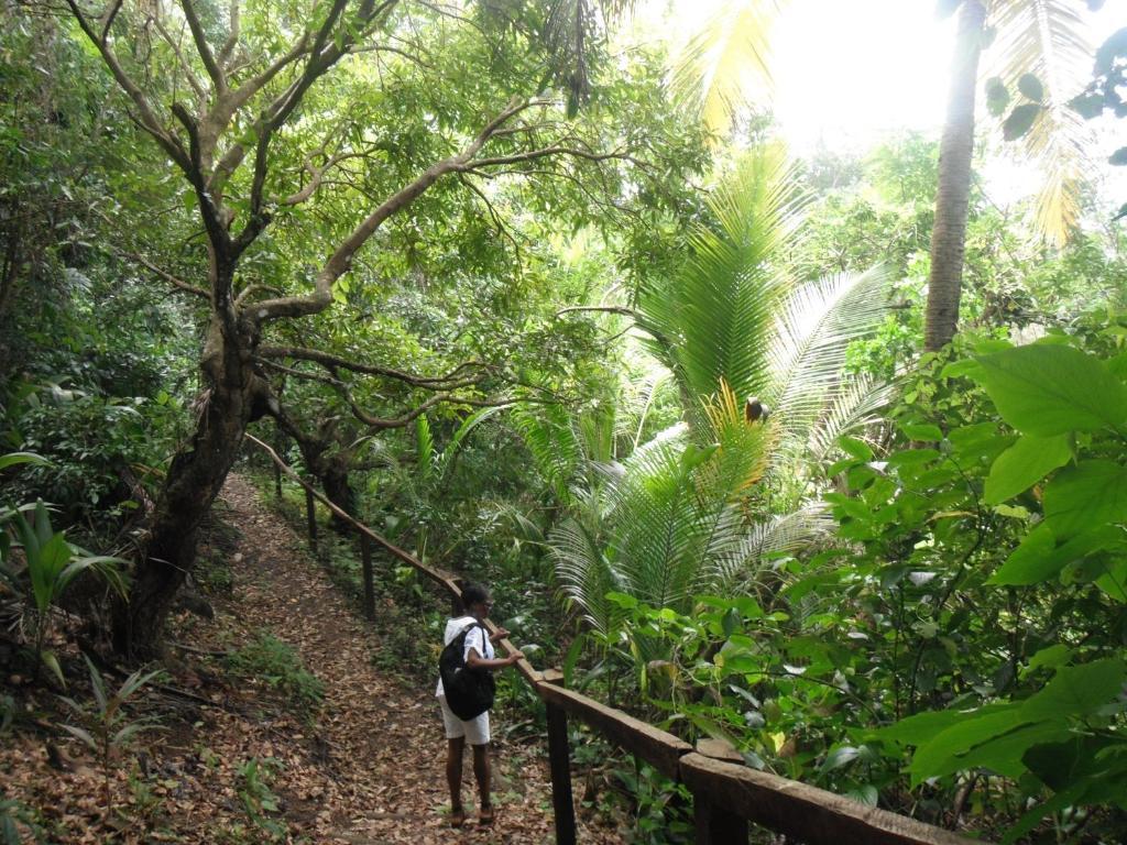 Classique International In Dominica Marigot Buitenkant foto