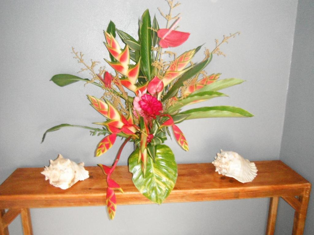 Classique International In Dominica Marigot Kamer foto